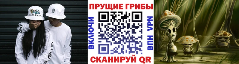 OMG онион  Арамиль  Псилоцибиновые грибы GOLDEN TEACHER 